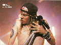 gavgnr